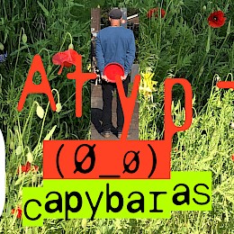 commonSans