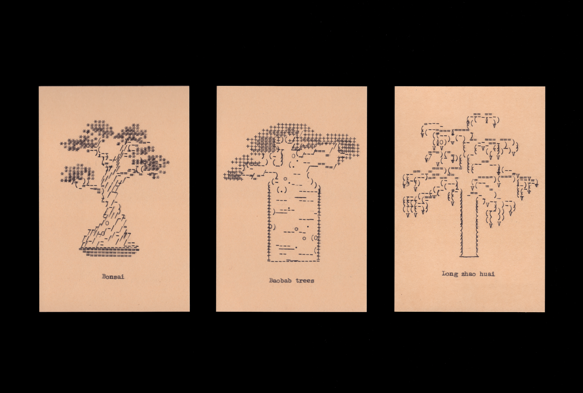 Introduce Hongshuang Fu and her kitchenSet